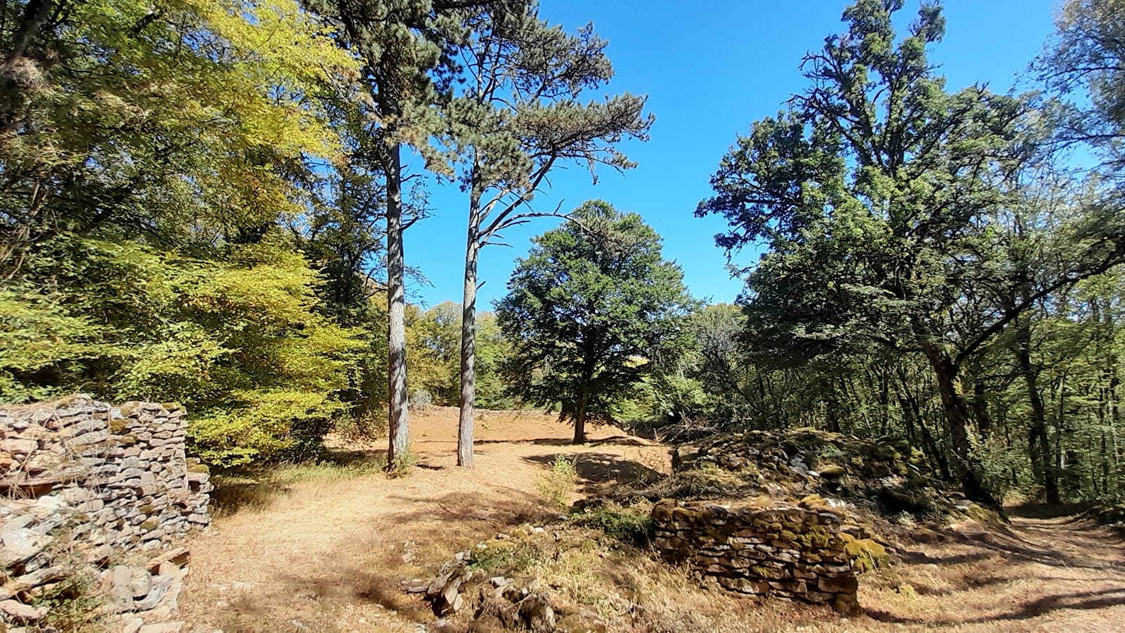 Camp néolithique de la Montagne de la Roche