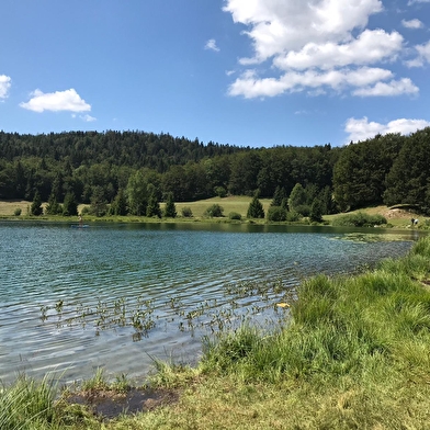 Parcours VTT 68 bleu - Lac Genin et les bois de Puthod et des Millières - Espace FFC Ain Forestière