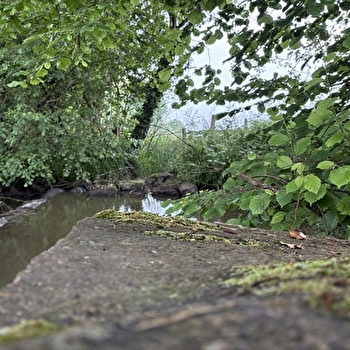 Le petit Martigny - Circuit VTT n°1 - MARTIGNY-LE-COMTE