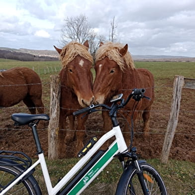 Safari Comtois au départ de MAMIROLLE