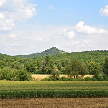 Sur les pas des 1er Comtes de Saulx - SAULX-LE-DUC