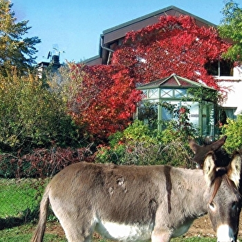 Gîte n°G1591 - LAVANS-LES-SAINT-CLAUDE