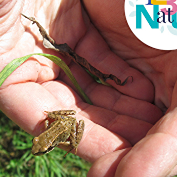 Sortie 123Nature : Les petites bêtes de l'eau - SELONCOURT