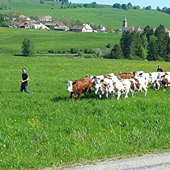 Aire de stationnement - Mairie - SAINT-ANTOINE