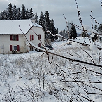 La Ferme des Paradis - PREMANON