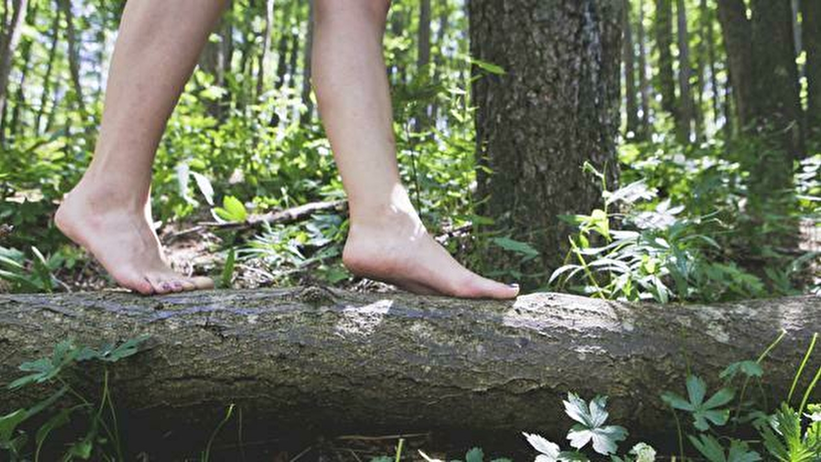 Echappée Morvan d'Ailes - Rando pieds nus