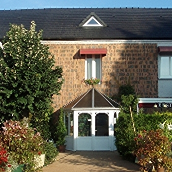 Le Vieux Saule - TORCY