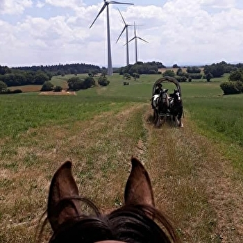 Les attelages du gaec de l'espoir - CHAUSSENANS