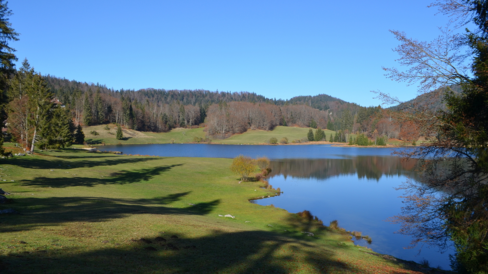 Parcours VTTAE 26 bleu - circuit des dinosaures - Espace FFC Ain Forestière