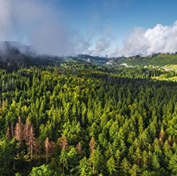 Le tour des savoir-faire - Boucle vélo 07 - Morez