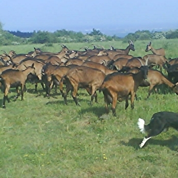 La Chèvre de Russilly - GIVRY