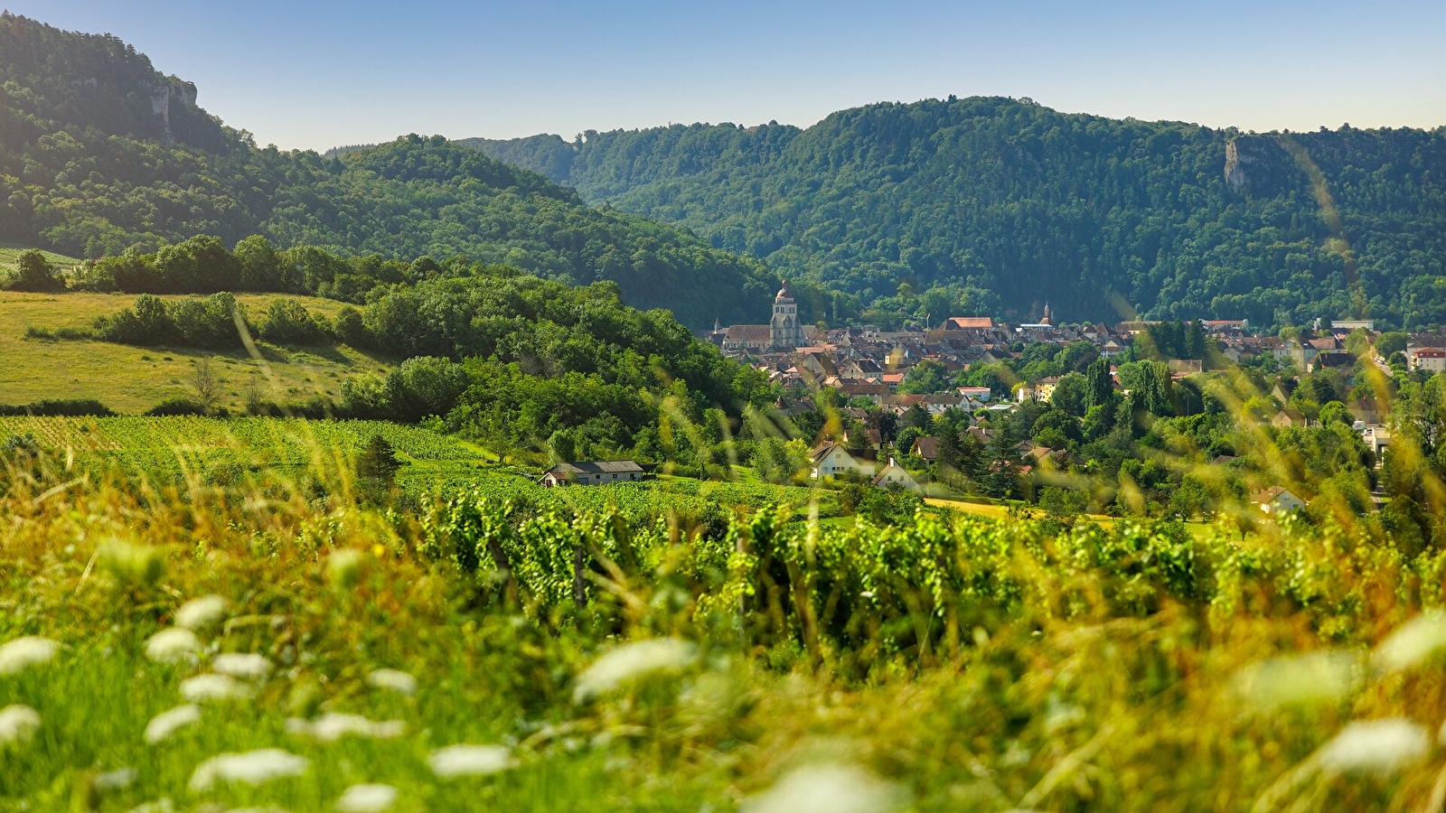 Boucle 24 : la Coulée Douce