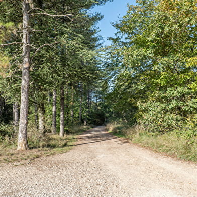 Le sentier de la tour