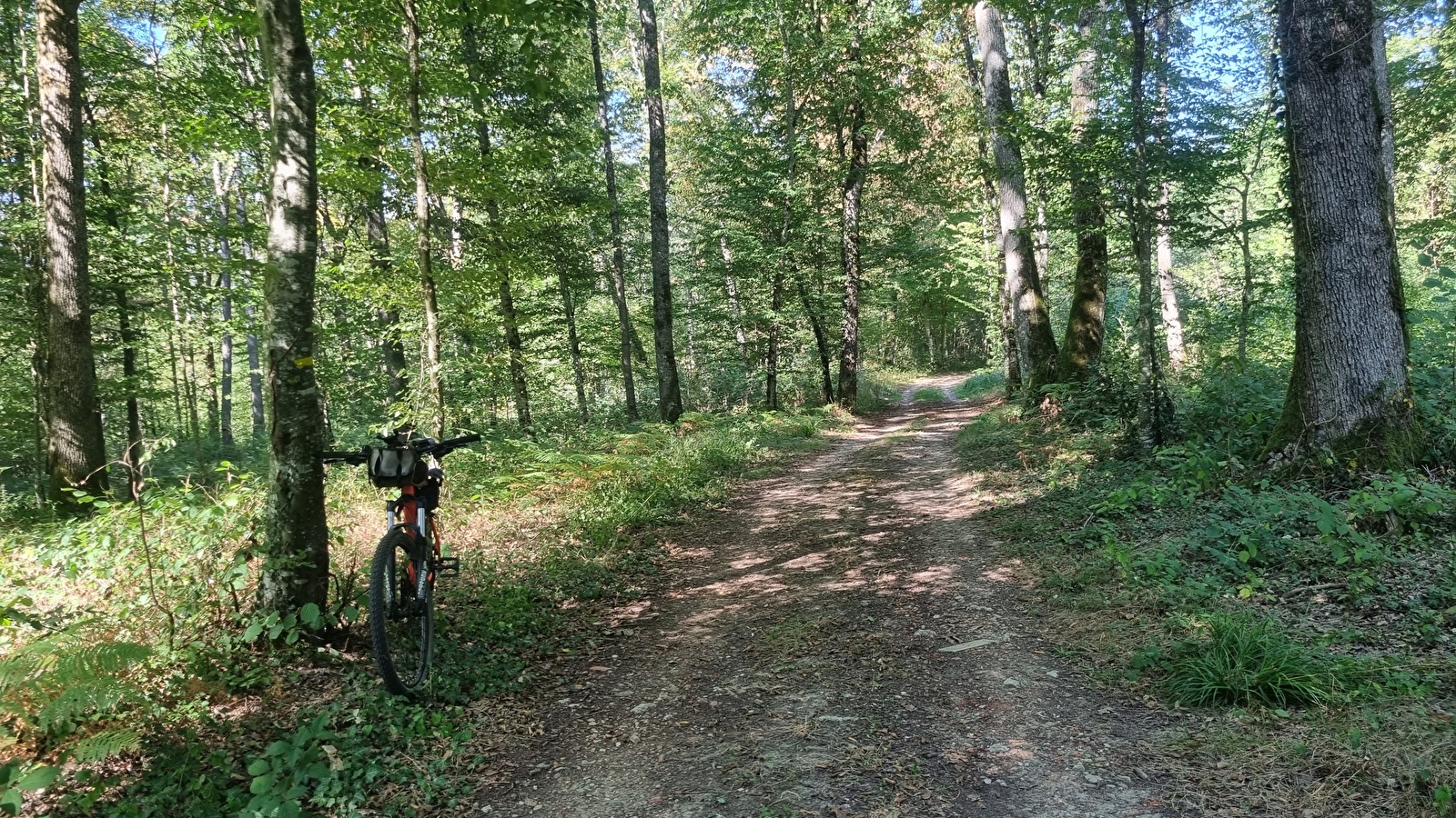 Circuit Gravel n°6 (rouge) Chemins des bois de Bresse