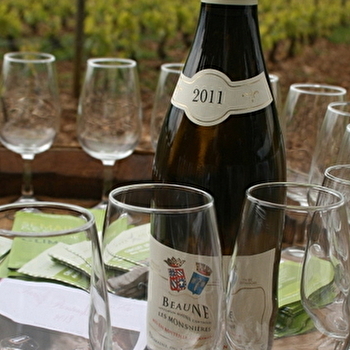 La Viti de Beaune - BEAUNE