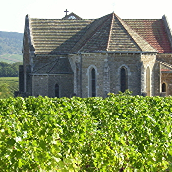 Eglise Saint-Pierre et Saint-Paul - CHEILLY-LES-MARANGES