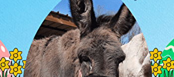 Chasse aux oeufs à la flânerie d'Audrey - FORT-DU-PLASNE