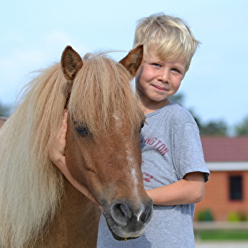 Centre Equestre de la Tuilerie - DRACY-LE-FORT