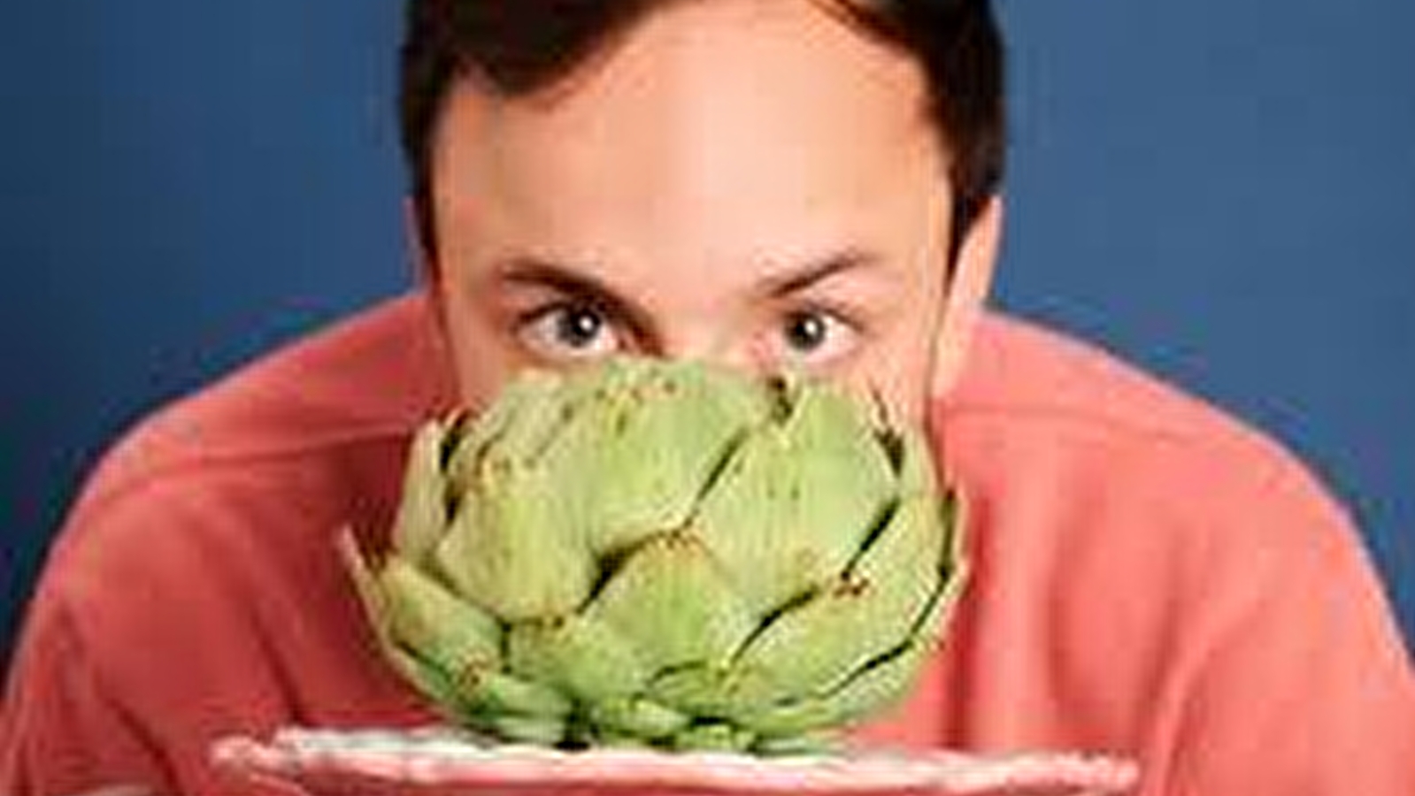 Festival Les Quatre Saisons Printemps 2026