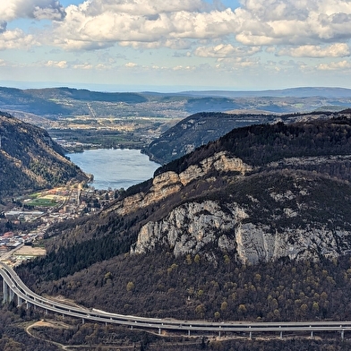 Parcours VTTAE 59 bleu - Tour de la Grande Montagne - Espace FFC Ain Forestière