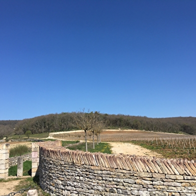 Domaine d'Aubigny