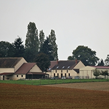 Le Petit Biguereaux - PIFFONDS