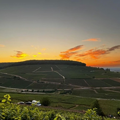 Domaine Lucie et François-Xavier Delorme