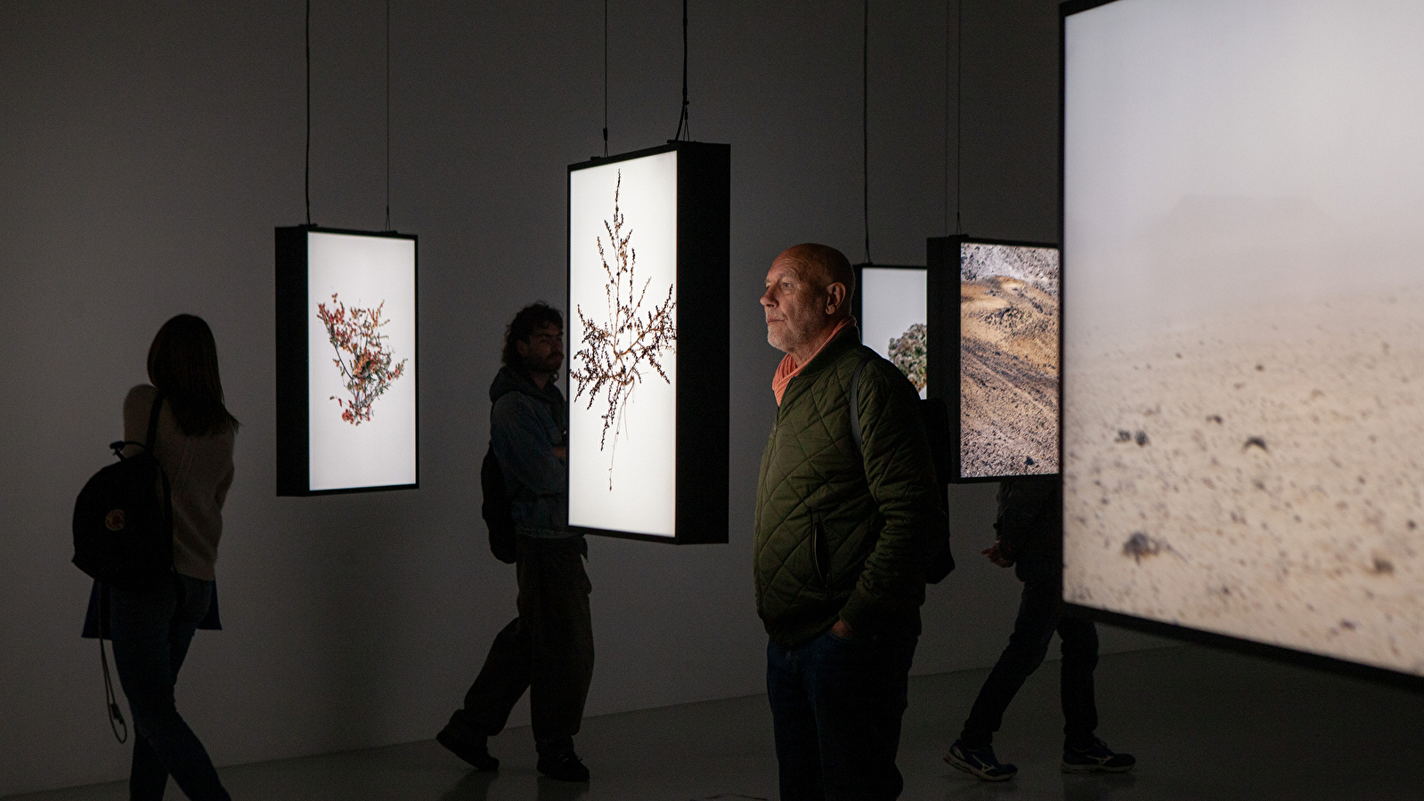 Visite : Traversée des expositions