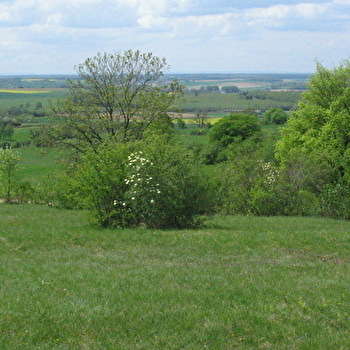 Les pelouses sèches des Monts de Gy - GY