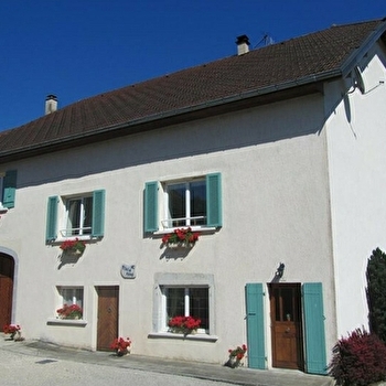 La belle hirondelle - MESNOIS