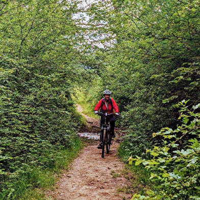 Parcours VTT 82 - bleu - Les Rochassons - Espace FFC Ain Forestière