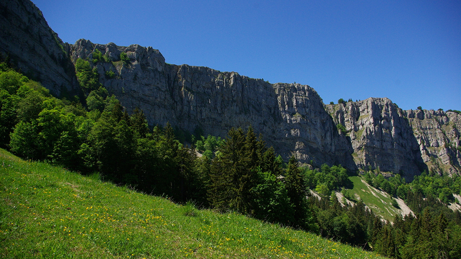 Sous les falaises du Mont d'Or