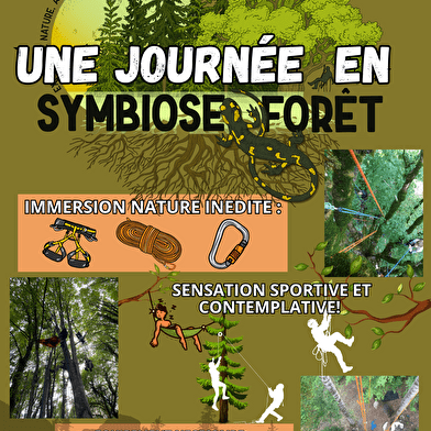 Symbiose Forêt