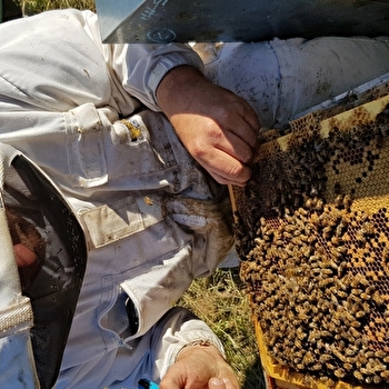 GAEC des Ruchers de l'Armançon - QUINCY-LE-VICOMTE