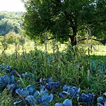 Les Jardins de Grusse - VAL-SONNETTE
