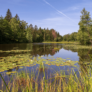 Boucle cyclable n°15 - La Petite Finlande