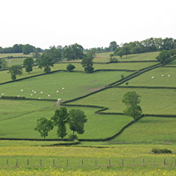 Paray-le-Monial : circuit n°12 - Monts et vallées en Charolais-Brionnais - PARAY-LE-MONIAL