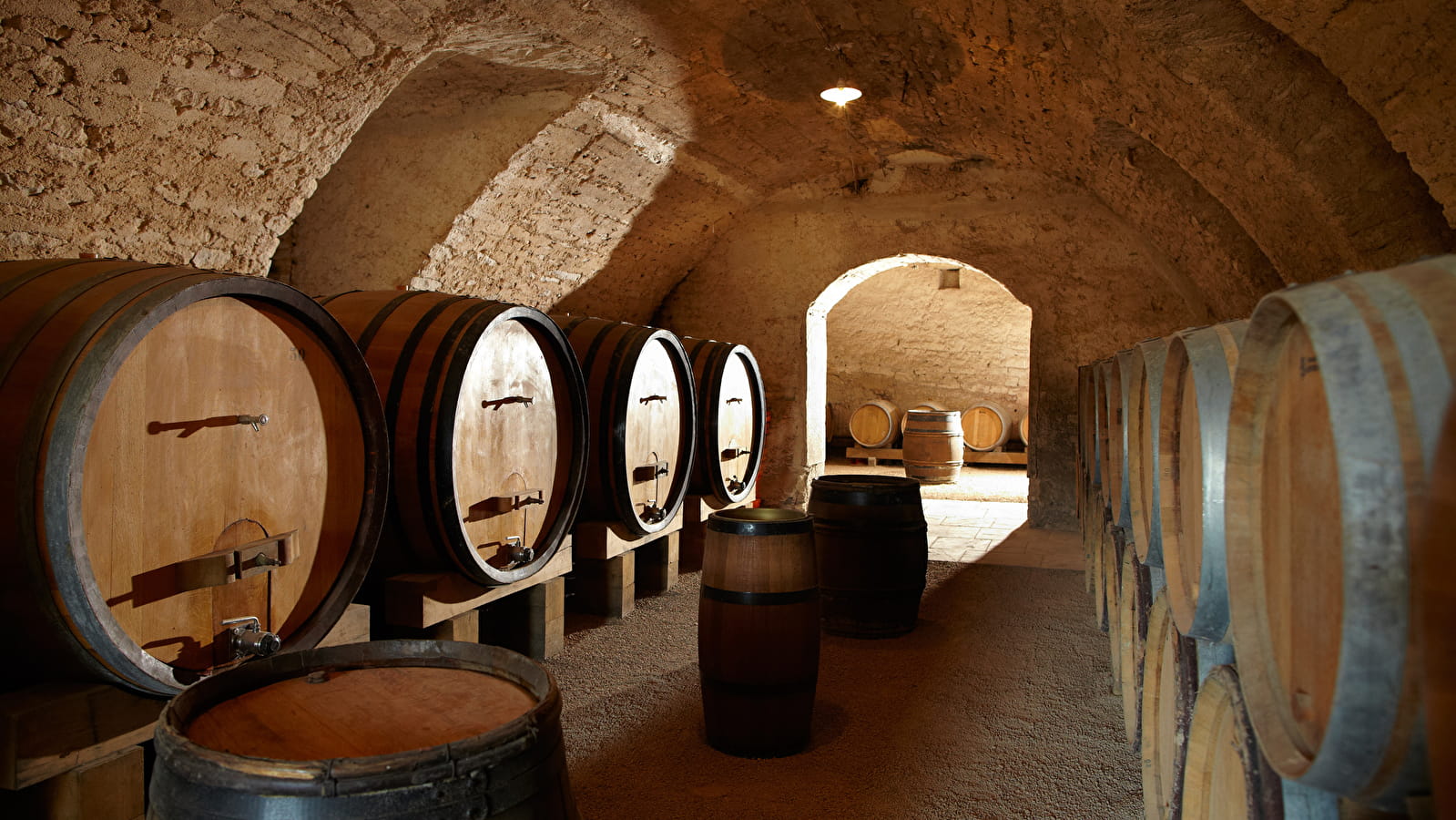 Biodiversité et terroir