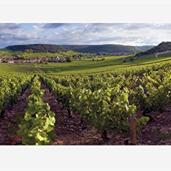 Sentier Meursault-Blagny  - MEURSAULT