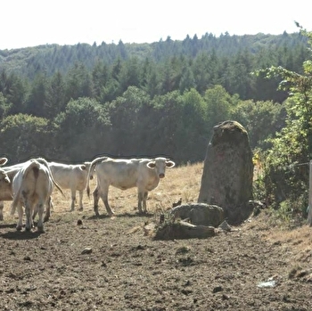 Les curiosités naturelles de St Saulge - SAINT-SAULGE