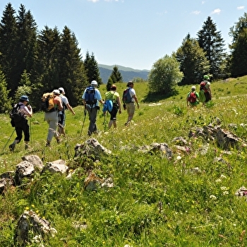 La Vigoureuse  - LAMOURA