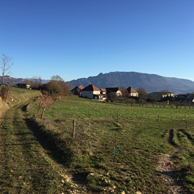 Parcours VTT 7 noir - Montagne de Parves - Espace FFC Ain Forestière