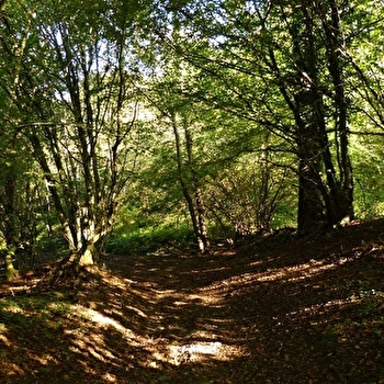 La Verrière - VILLENEUVE-EN-MONTAGNE