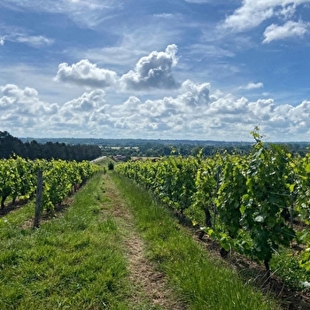 Au coeur historique de Saint-Martin-Belle-Roche - SAINT-MARTIN-BELLE-ROCHE