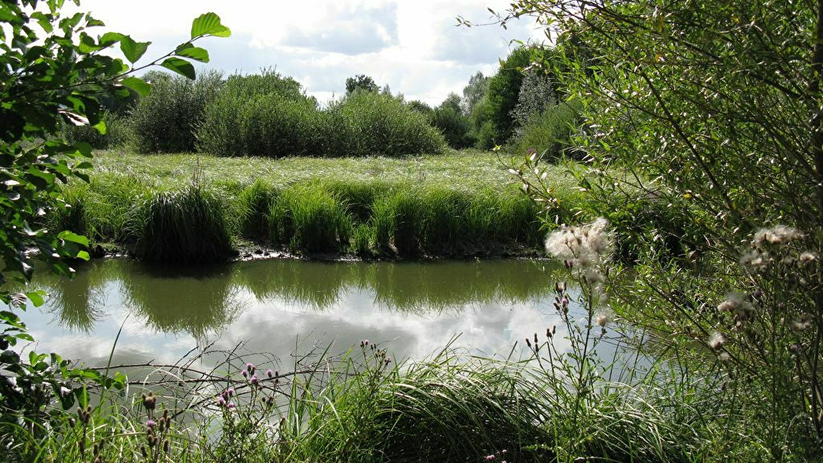 Sortie « spéciale » photographie nature 