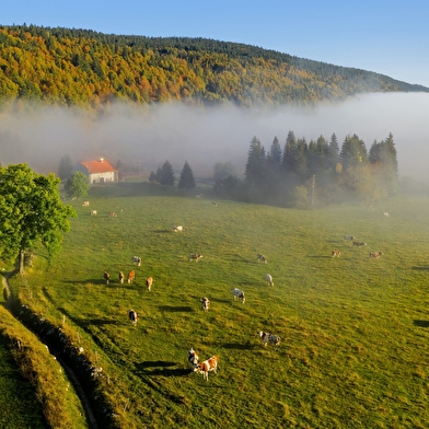 GR 5 de Foncine-le-Haut aux Rousses