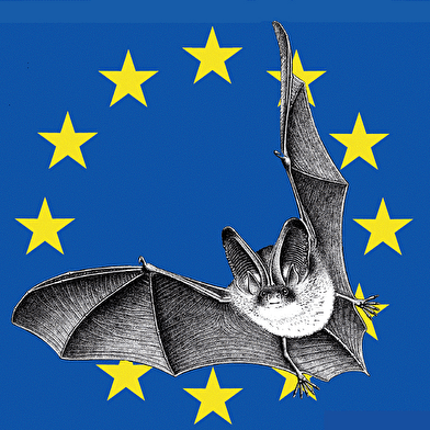 À la découverte de la nuit, de ses habitants et de la vallée de la Cure, Samedi 19 septembre