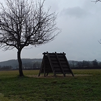 Parcours de santé - SENS