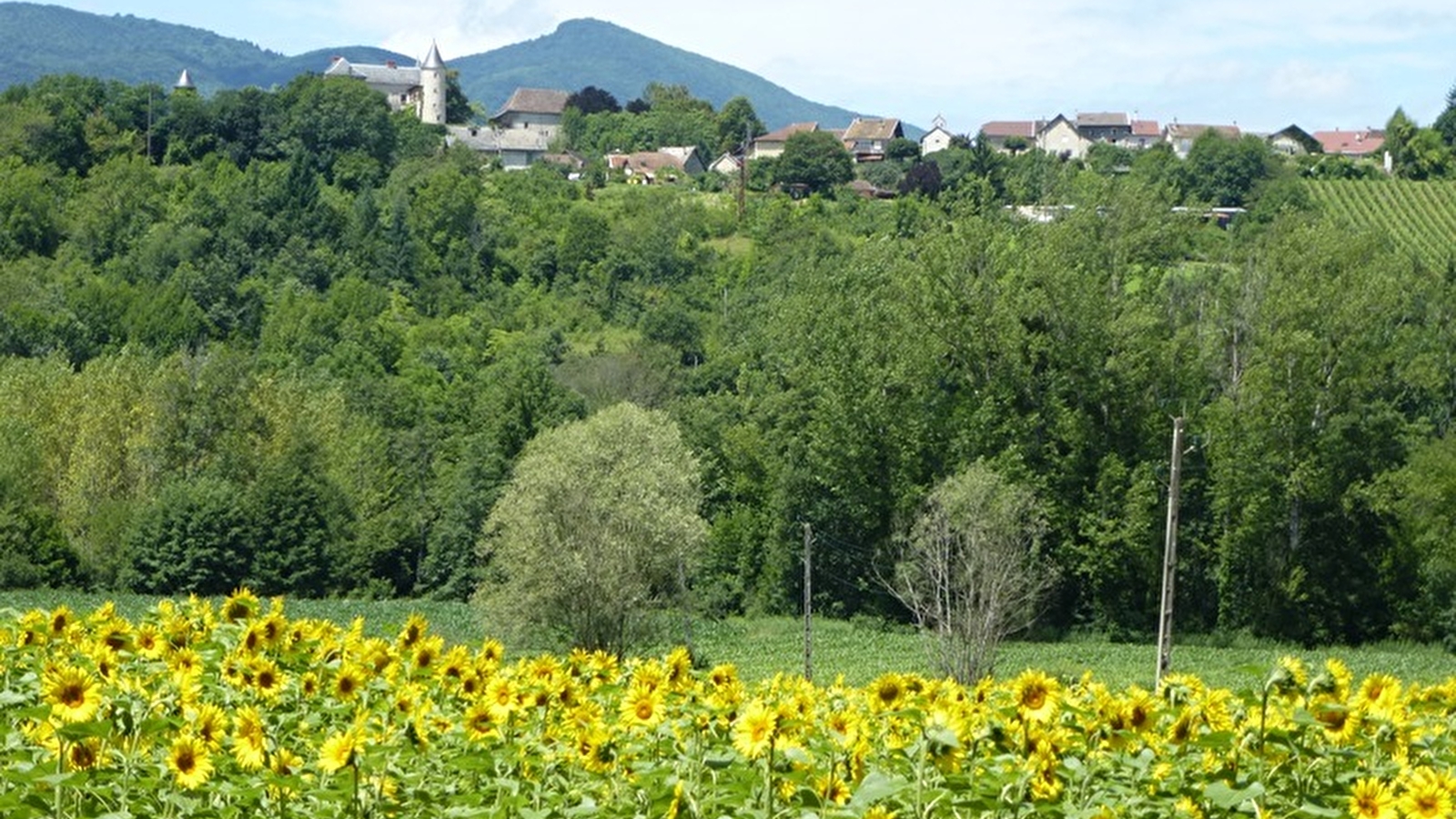 Parcours VTT 3 bleu - Bognens - Les Baraques - Espace FFC Ain Forestière