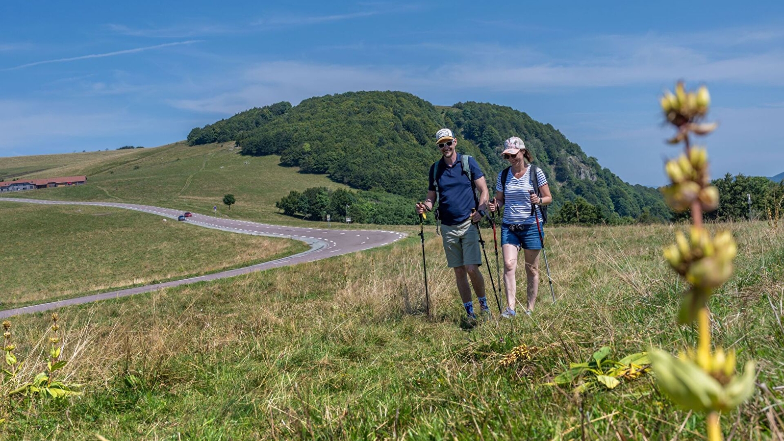 Au coeur des Vosges du sud : les crêtes par le Ballon d'Alsace